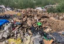 Photo of foto | Imagini care te lasă fără cuvinte. Rămășițele unor animale aflate în stare de putrefacție, aruncate la marginea unui sat din Anenii-Noi