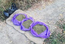 Photo of foto, video | Marijuana în valoare de 1 milion de lei, confiscată de polițiști: 3 persoane au fost reținute
