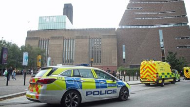 Photo of foto | Caz teribil la Londra: Un copil de 6 ani a fost aruncat de pe terasa unui muzeu, aflată la etajul 10
