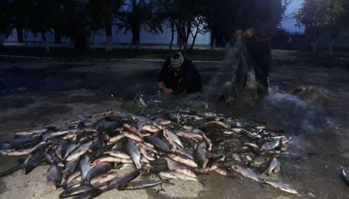 Photo of foto | Au prins 200 de kg de pește într-o noapte: Doi locuitori ai raionului Cahul, amendați pentru că pescuiau ilegal în apele de frontieră