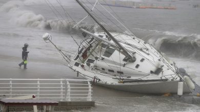 Photo of video | Peste 400 de zboruri anulate din cauza vântului și ploilor abundente. Japonia, lovită de taifunul Tapah