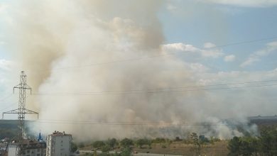 Photo of foto, video | Incendiu de vegetație în apropierea caselor de la Dumbrava. Două autospeciale luptă cu focul