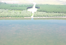 Photo of video | Un pod suspendat deasupra Dunării va fi construit la Brăila: Uniunea Europeană va investi circa 365 de milioane de euro