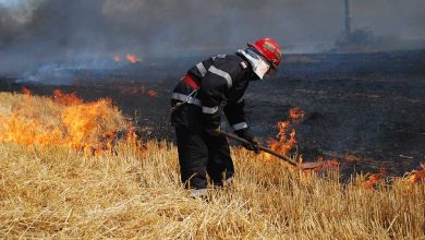 Photo of Meteorologii au prelungit Codurile galben de incendii de vegetație și de secetă hidrologică. Recomandările specialiștilor