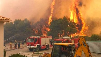 Photo of foto, video | Una dintre cele mai populare insule din Grecia, amenințată de incendii de vegetație. Peste 300 de oameni au fost evacuați