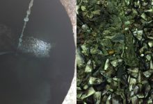 Photo of Sursa mirosului neplăcut din capitală, deconspirată? Ar fi vorba despre 3 tone de resturi de pește