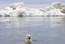 Photo of Topirea ghețarilor Oceanului Artic – pericol pentru întreaga planetă. Cum își propune o echipă de cercetători să înghețe înapoi apele nordice?