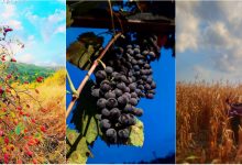 Photo of foto | Struguri copți, lanuri aurite și apusuri colorate. Cum s-a văzut prima săptămână de toamnă pe Instagramul moldovenesc?
