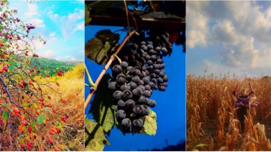 Photo of foto | Struguri copți, lanuri aurite și apusuri colorate. Cum s-a văzut prima săptămână de toamnă pe Instagramul moldovenesc?