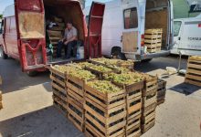 Photo of foto | Pentru orice gust și buzunar. În Chișinău s-a deschis un iarmaroc de comercializare a strugurilor și a butoaielor pentru vin