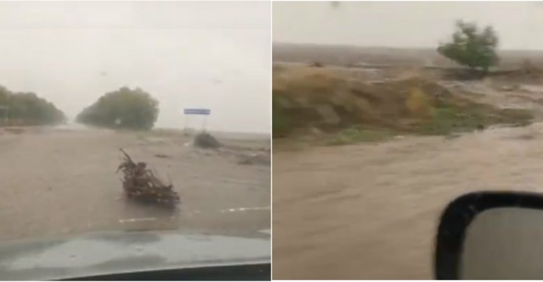 Photo of video | Terenuri agricole inundate și drumuri pline de șuvoaie: Ploaia de ieri a făcut ravagii în raionul Taraclia