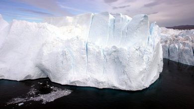 Photo of video | Un aisberg uriaș s-a desprins din Antarctica. Are o suprafaţă mai mare decât Londra și ar putea deveni un pericol