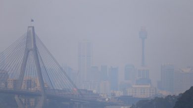 Photo of Sydney se sufocă! Un nor gros de fum a acoperit orașul australian