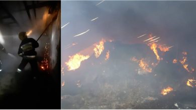 Photo of foto | Incendiu într-o fermă de vite din raionul Orhei. Peste 50 de bovine nu au putut fi salvate