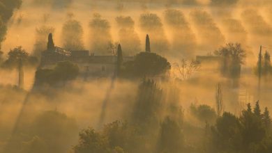 Photo of Meteorologii au emis Cod galben de ceață. Care sunt riscurile și ce ne recomandă specialiștii?