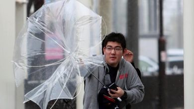 Photo of Stare de alertă în Japonia din cauza taifunului Hagibis. Unde se pot adresa turiștii care se află în dificultate?