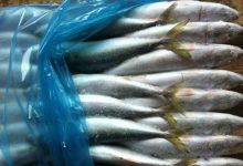 Photo of video | Atenție la produsele pe care le procurați de la piață! Sandu: 73 de loturi de pește infestat au primit certificate veterinare în ultimele două luni