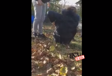 Photo of Tânărul care a bătut o minoră din cauza unei perechi de ghete și-a recunoscut vina. Ce pedeapsă riscă?