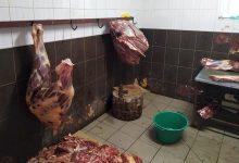 Photo of video | Condițiile groaznice în care este ținută carnea într-un abator din Fălești. Polițiștii au pus „capac” afacerii ilegale a unui localnic