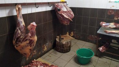 Photo of video | Condițiile groaznice în care este ținută carnea într-un abator din Fălești. Polițiștii au pus „capac” afacerii ilegale a unui localnic