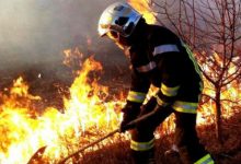 Photo of video | Incendiu devastator în apropierea unei localități din Ungheni. Ce pagube au creat flăcările timp de 5 ore?