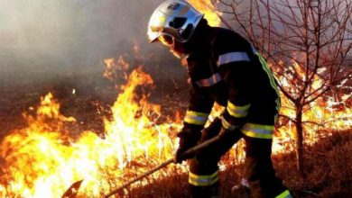 Photo of video | Incendiu devastator în apropierea unei localități din Ungheni. Ce pagube au creat flăcările timp de 5 ore?