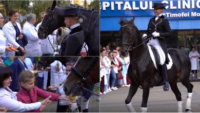 Photo of video | Au defilat țanțoș în fața pacienților și i-au bucurat pe cei mici, dar și pe cei mari. Doi căluți au ținut o ședință de hipoterapie la Spitalul Republican