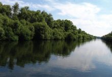 Photo of Voia să ajungă la Brașov. Un moldovean, reținut după ce a trecut Prutul în înot