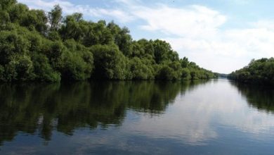 Photo of Voia să ajungă la Brașov. Un moldovean, reținut după ce a trecut Prutul în înot