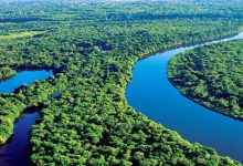 Photo of „Plămânii Pământului” sunt distruși fără milă. Pădurea Amazoniană a pierdut peste 10.000 de kilometri pătrați într-un singur an