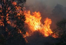 Photo of video | Australia este cuprinsă de foc. Autoritățile au mobilizat peste 1000 de pompieri în lupta cu incendiile de vegetație