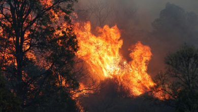 Photo of video | Australia este cuprinsă de foc. Autoritățile au mobilizat peste 1000 de pompieri în lupta cu incendiile de vegetație