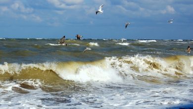 Photo of video | În Marea Neagră ar putea fi cea mai poluată apă din Europa: „A fost tratată zeci de ani ca un coș de gunoi”