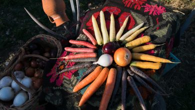 Photo of foto | Să vezi și să nu crezi! În Anenii Noi puteți întâlni o recoltă de morcovi de toate culorile