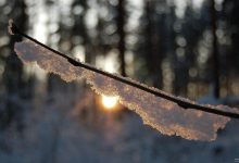 Photo of meteo | Iarna „a dezbrăcat” cojocul? Vezi temperaturile cu care ne va surprinde anotimpul alb în această săptămână
