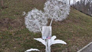 Photo of foto | Un nou monument, inaugurat în parcul Valea Morilor. Cui este dedicată sculptura celor două păpădii?