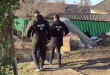 Photo of video | Cultivau marijuană pentru „export” în Rusia. Polițiștii au anihilat un grup criminal specializat în trafic de droguri