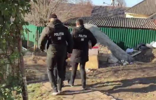 Photo of video | Cultivau marijuană pentru „export” în Rusia. Polițiștii au anihilat un grup criminal specializat în trafic de droguri