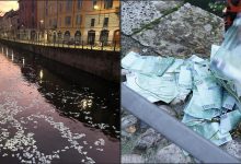 Photo of video | Mii de bancnote de 100 de euro au plutit pe un râu din Italia. Ce au pățit cei care au vrut să își însușească banii?