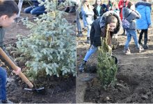 Photo of foto | Au dat exemplu adulților și au contribuit la bunăstarea planetei. Mai mulți copii au plantat brăduți în parcul Dendrariu