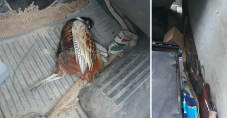 Photo of Un bărbat riscă să se aleagă cu 3 amenzi după ce a fost prins la frontieră cu o armă străină și cu o pasăre vânată