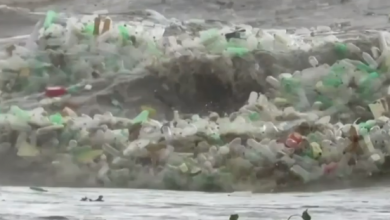 Photo of video | Imagini îngrozitoare pe o plajă. Momentul în care tone de plastic sunt aduse de valuri la mal