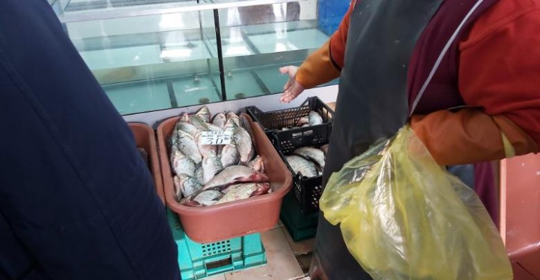 Photo of foto | Ce amendă riscă comerciantul de la Piața Centrală care vindea peşte inclus în Cartea Roşie? Constatările specialiștilor de mediu