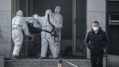 Photo of Medicii din China au descoperit sursa virusului care se răspândește în ritm alert. Serviciile sanitare ruse încearcă să creeze un vaccin contra maladiei