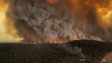 Photo of video | Ar putea schimba condițiile atmosferice? Fumul de la incendiile din Australia face înconjurul lumii