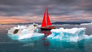 Photo of foto | Nouă aventurieri moldoveni și români pornesc spre Antarctida! Vor străbate cea mai „feroce” strâmtoare și vor filma un mini-serial