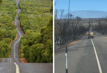 Photo of foto | Peisaje din Australia: Înainte și după ce incendiile de vegetație au „asediat” regiunea