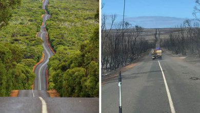 Photo of foto | Peisaje din Australia: Înainte și după ce incendiile de vegetație au „asediat” regiunea