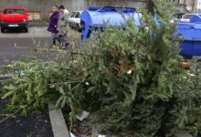 Photo of Brăduții vii care au înfrumusețat casele chișinăuienilor de sărbători vor fi reciclați. Cu ce îndemn vin autoritățile?