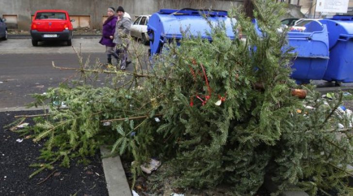 Photo of Brăduții vii care au înfrumusețat casele chișinăuienilor de sărbători vor fi reciclați. Cu ce îndemn vin autoritățile?